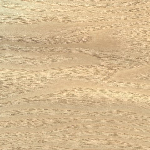 White ash wood sample