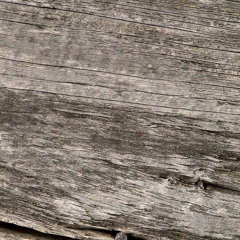 Barnwood wood sample