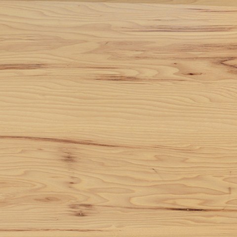 Hickory wood sample