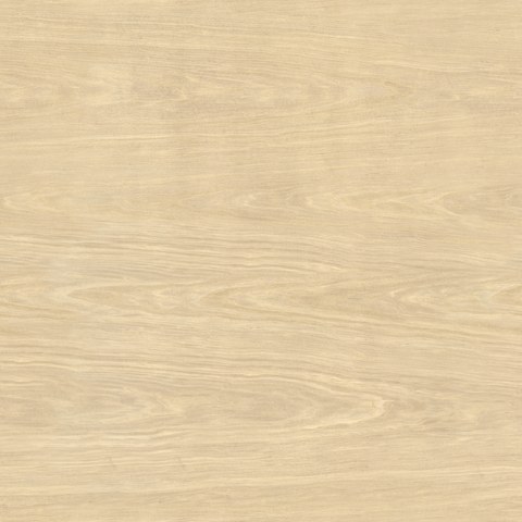 Maple wood sample