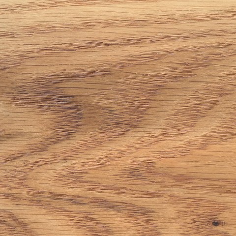 Red oak wood sample